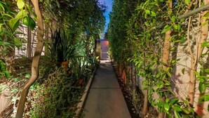 A narrow pathway flanked by dense foliage and a building structure in the distance. - El Mirador; Unit E (Palm Springs)