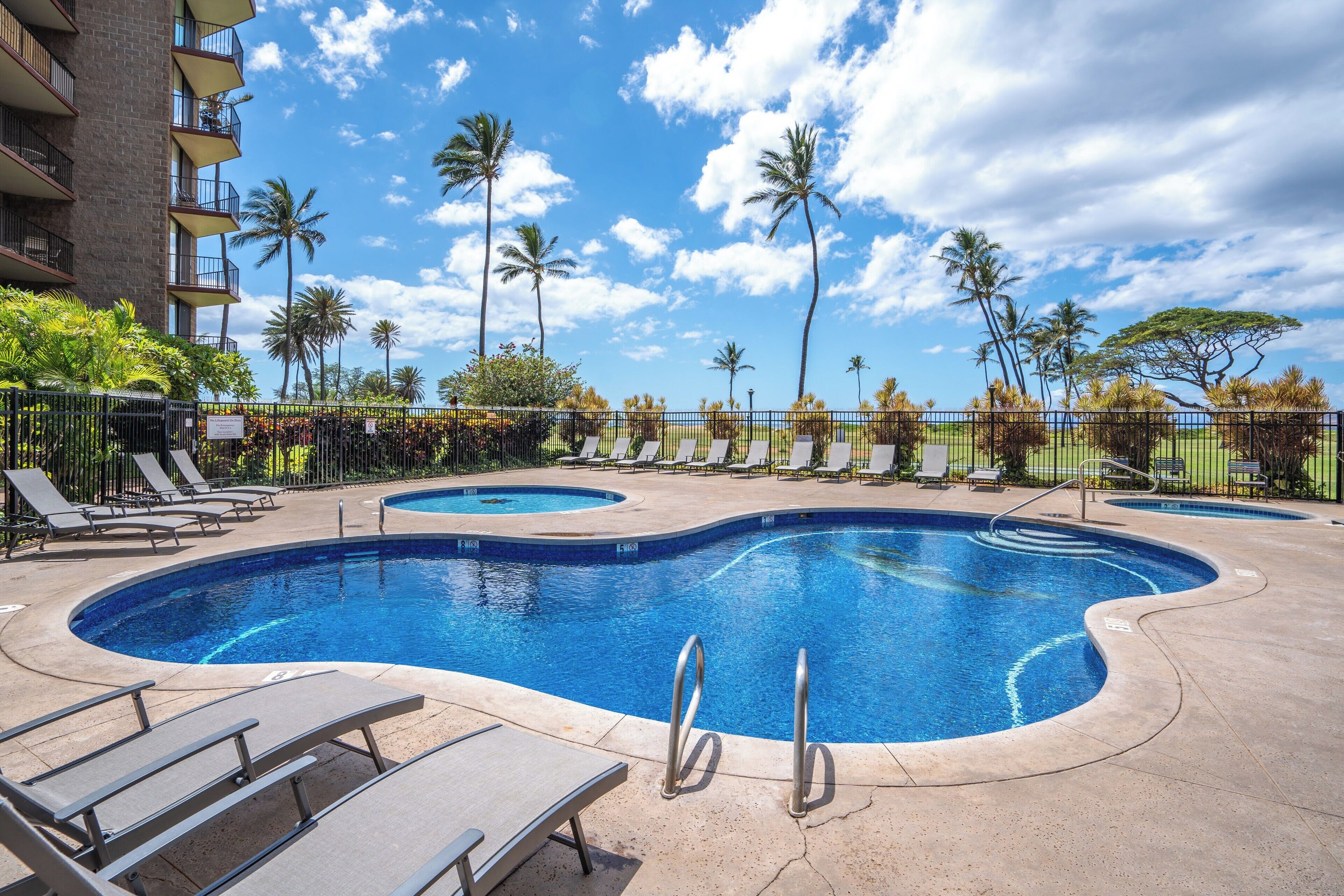 A swimming pool with lounge chairs and palm trees, surrounded by a fence.