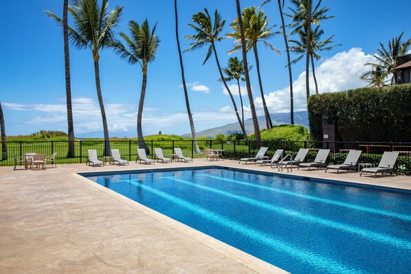 Alberca al aire libre, acceso de 08:00 a 20:00, y camastros 