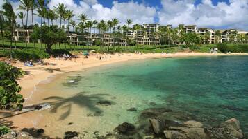 A beach with clear turquoise water, palm trees, and a resort with multiple buildings in the background.