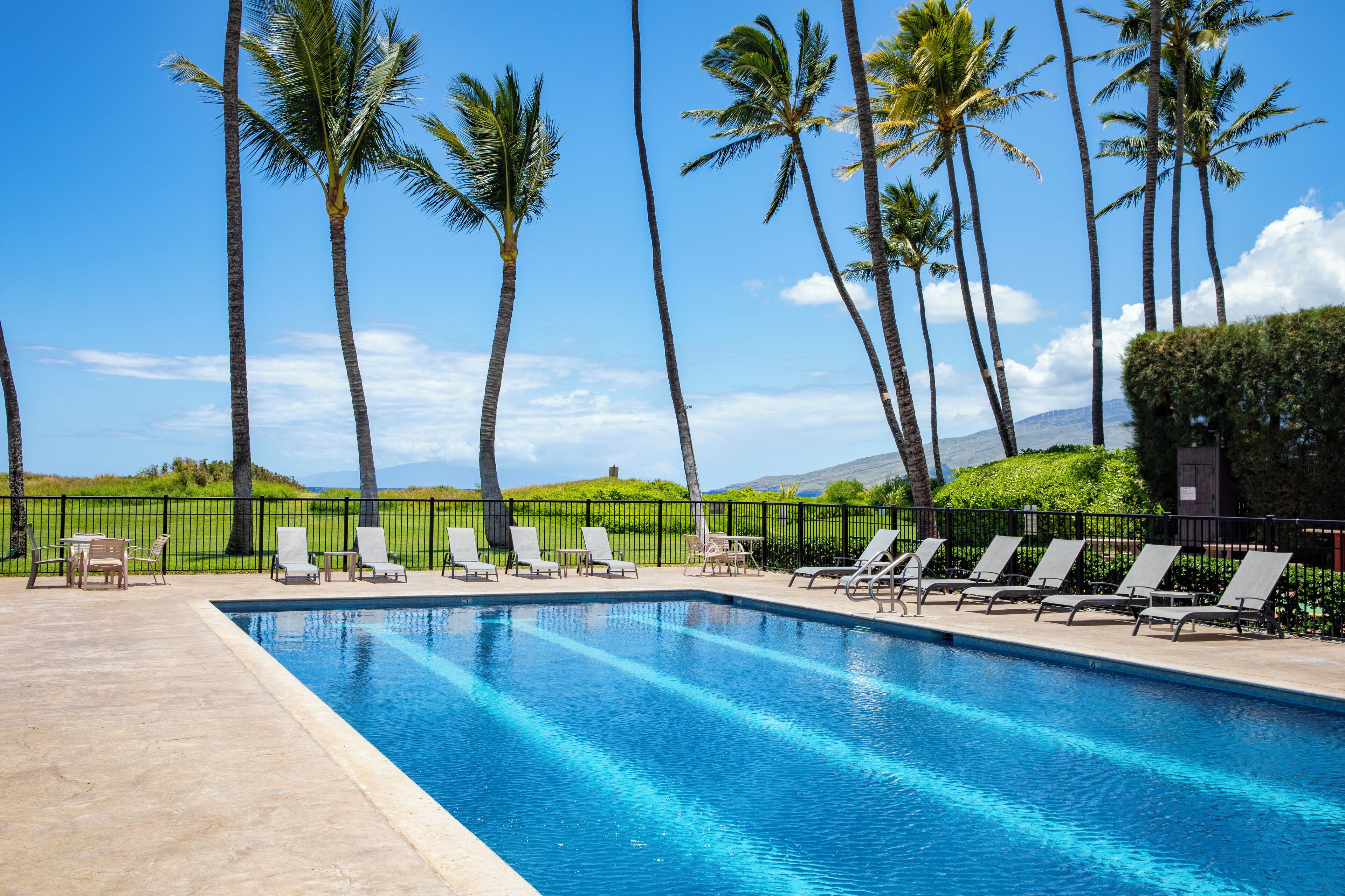 Outdoor pool, open 8:00 AM to 8:00 PM, sun loungers