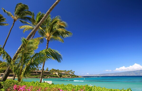 Plage, sable blanc, serviettes de plage