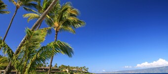 Waiohuli Beach Hale Ocean View Condos with Parking