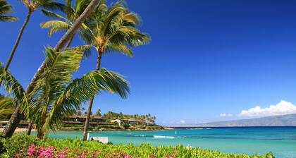 Waiohuli Beach Hale Ocean View Condos with Parking