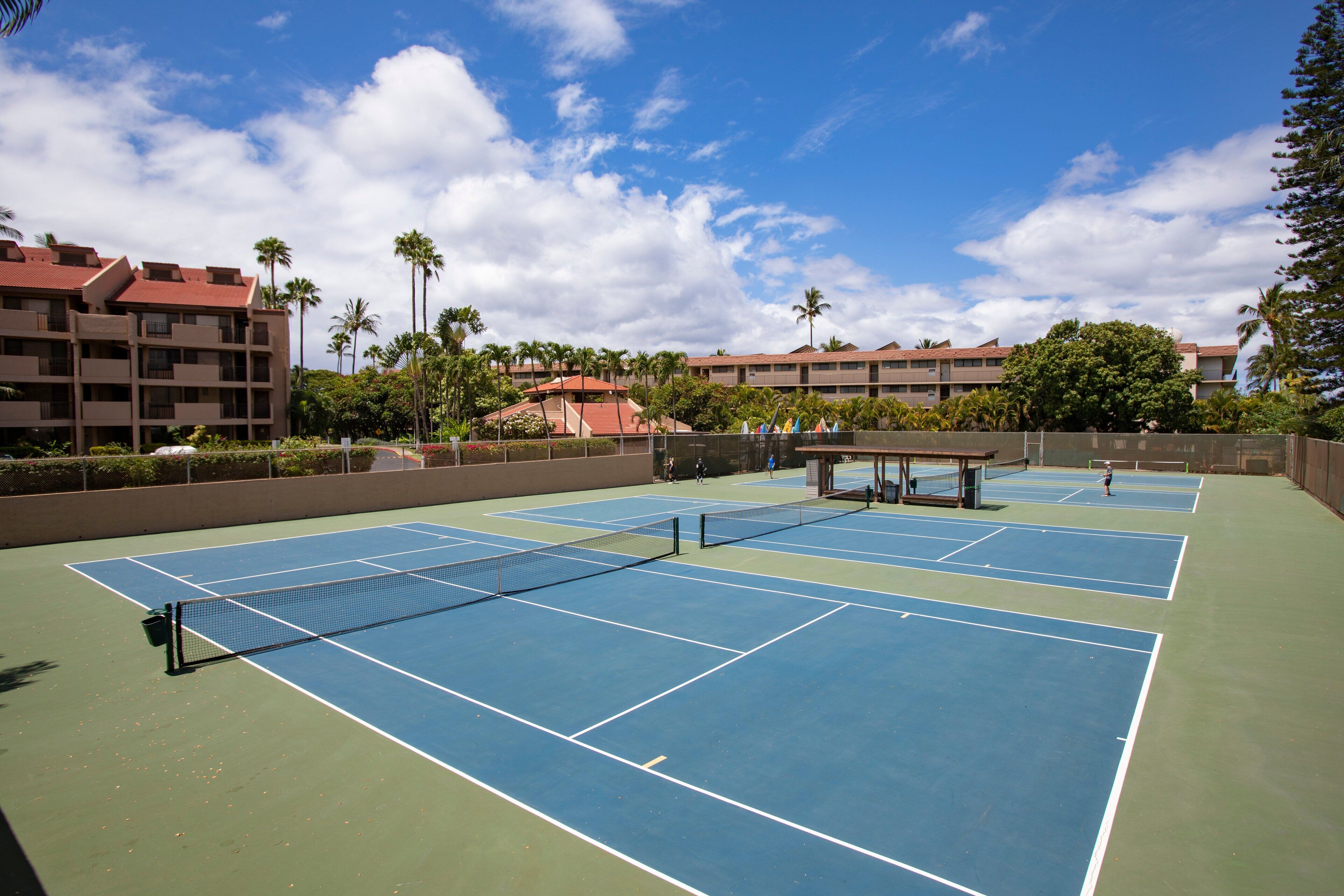 A tennis court with multiple courts, surrounded by palm trees and buildings.