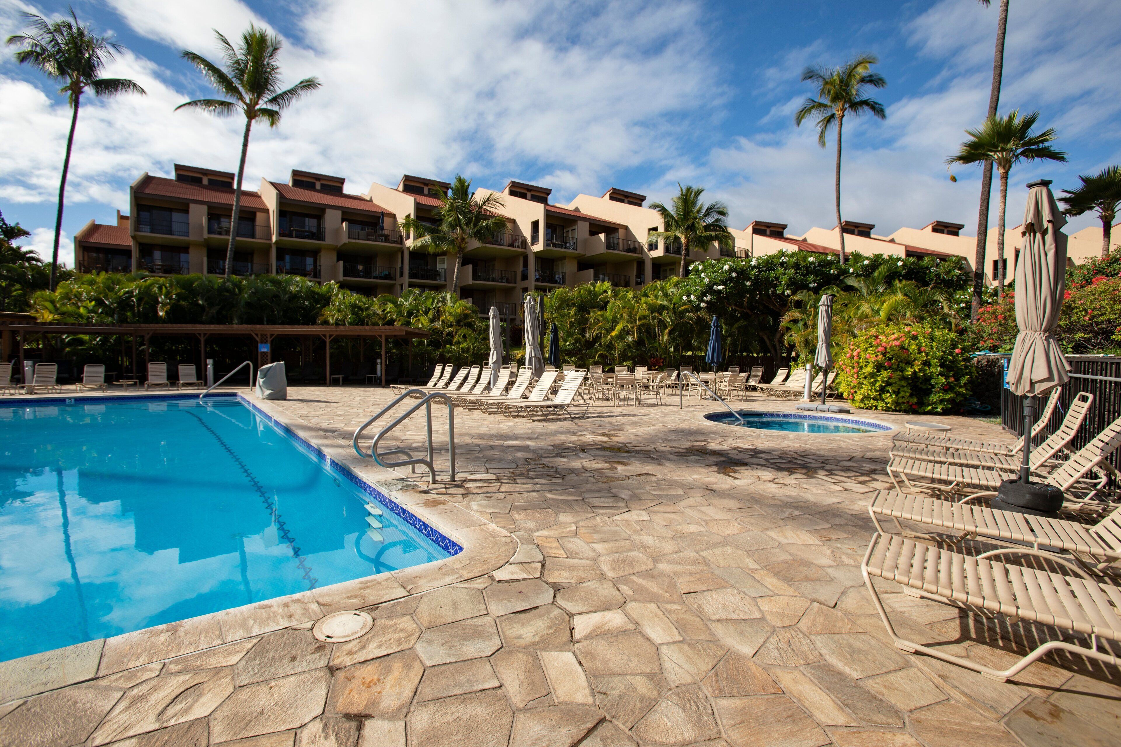 A hotel pool area with multiple lounge chairs and umbrellas, surrounded by palm trees and a building with balconies.