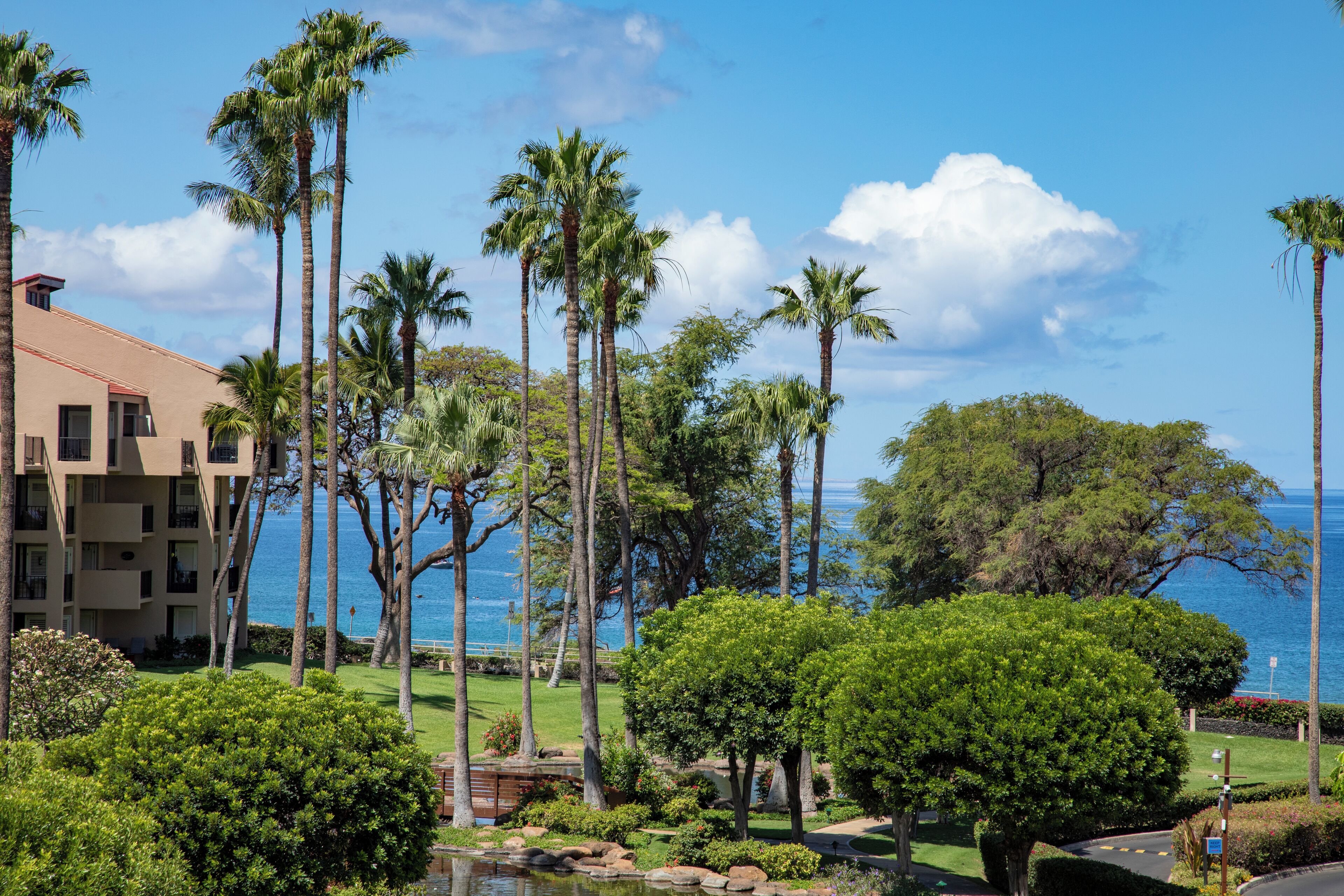 Condo, 1 King Bed with Sofa bed, Air conditioning, Ocean View (1014) | Beach/ocean view