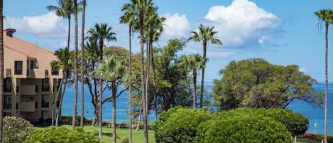 Condo, 1 King Bed with Sofa bed, Air conditioning, Ocean View (1014) | Beach/ocean view