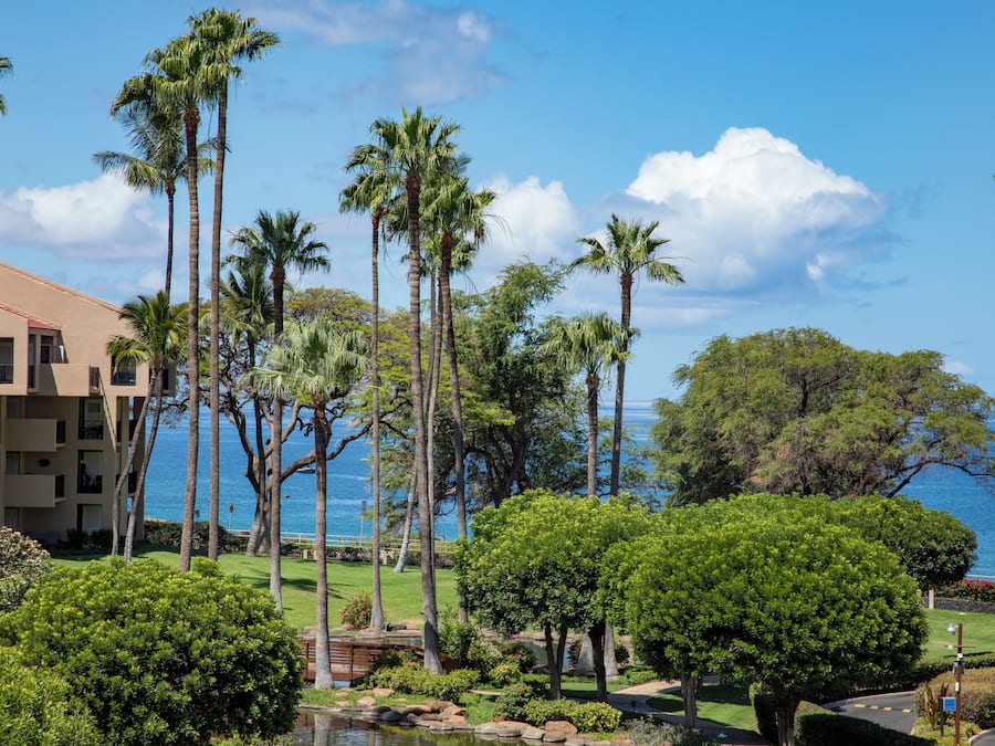 Condo, 1 King Bed with Sofa bed, Air conditioning, Ocean View (1014) | Vista para praia/oceano