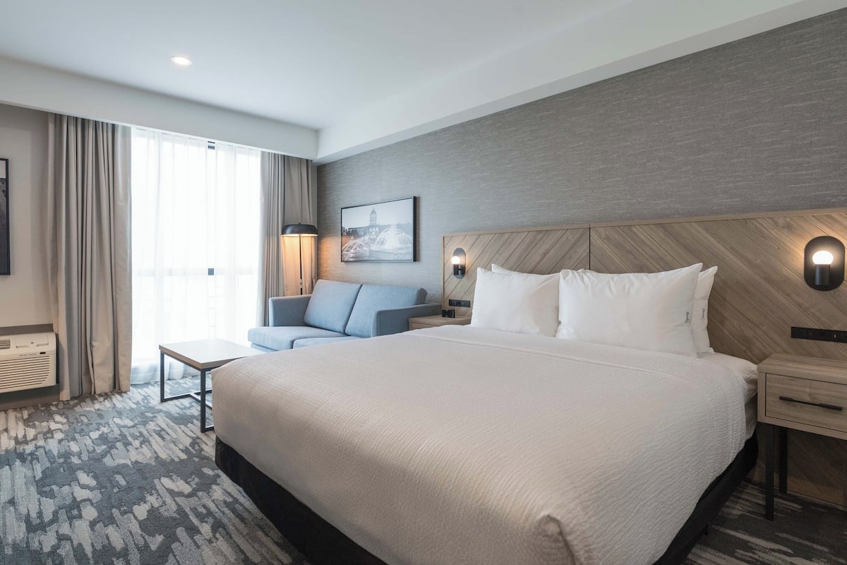 Standard Room, 1 King Bed with Sofa bed