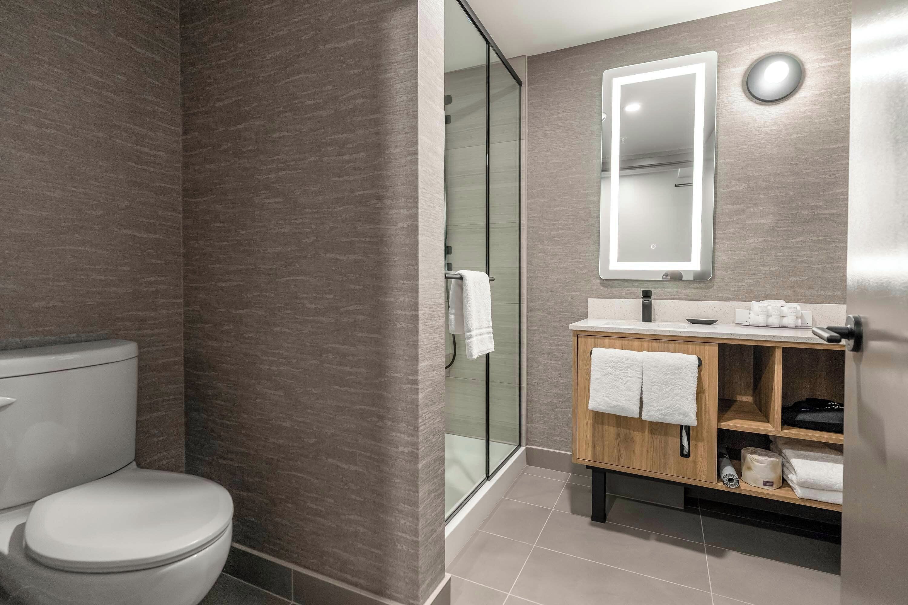 A modern bathroom with a toilet, a glass shower enclosure, and a vanity with a mirror.