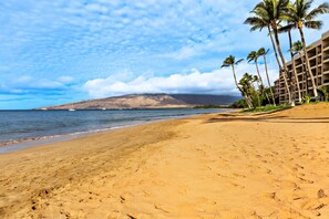 A beach with a building and palm trees.