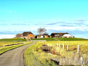 Uklassifisert bilde, 3 av 45, knapp