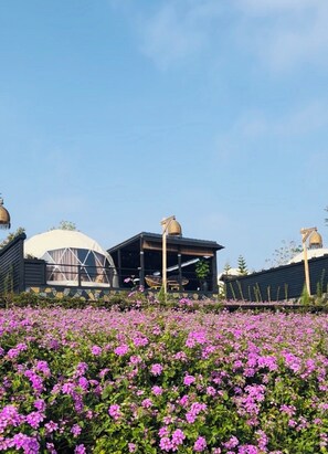 奢华帐篷房, 花园景观 | 花园景观