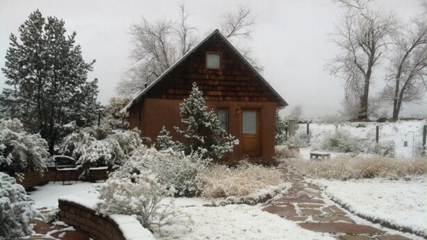 Una cabaña de madera con un sendero de piedra que lleva a ella, rodeada de árboles y arbustos cubiertos de nieve.