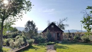 Una casa rústica con un sendero de piedra que la lleva a ella, rodeada de exuberante vegetación y árboles.