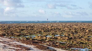A rocky beach with a lighthouse in the distance.