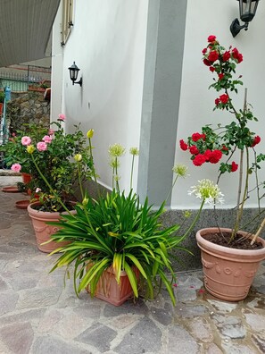 Exterior detail - Apartment 'Appartamento Casa Rita' with Balcony and Wi-Fi (San Giovanni delle Contee)