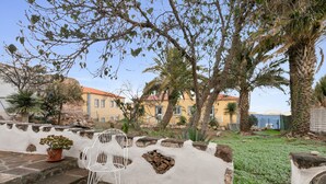 Un patio con una silla blanca, una planta en maceta y un muro de piedra.