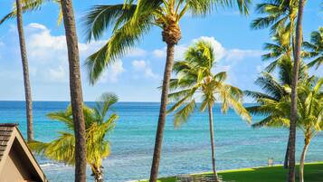 Condo, 1 Bedroom, Beach View (1009) | View from room