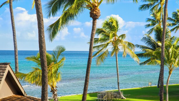 Condo, 1 Bedroom, Beach View (1009) | View from room