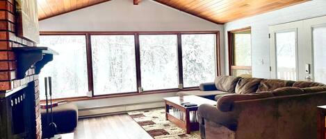 Smart TV, fireplace, video games, books