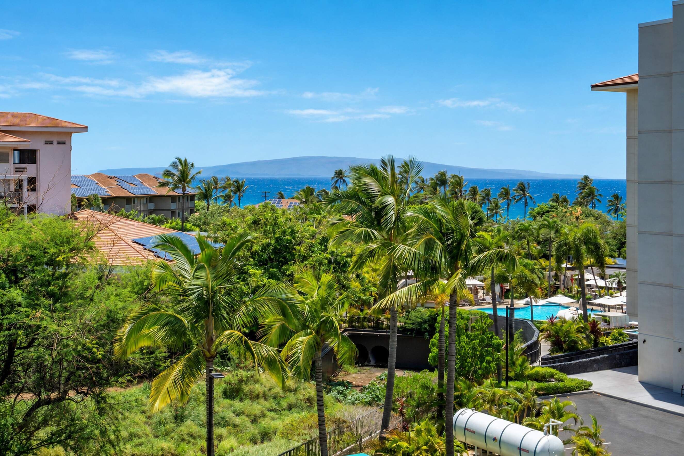 A resort with a pool, palm trees, and a view of the ocean.