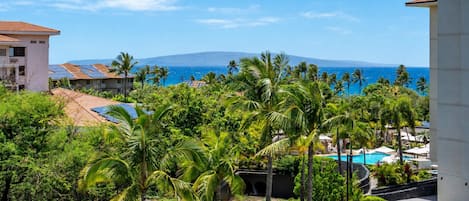 Una località turistica con piscina, palme e vista sull'oceano.