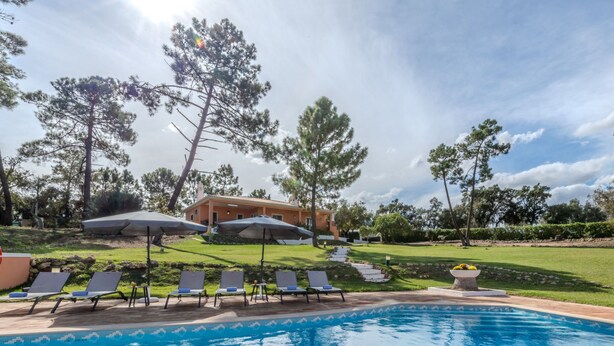 A swimming pool with lounge chairs and umbrellas, surrounded by a well-maintained lawn and trees.