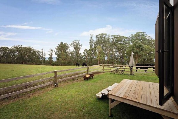 Áreas de la propiedad