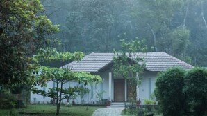 A single-story building with a tiled roof, surrounded by lush greenery and trees. - Abad Brookside (Vythiri)