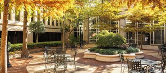 Downtown Dreamin Condo