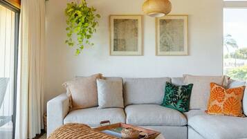 Smart TV, books, stereo
