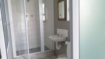 A bathroom with a shower enclosure, a sink, and a toilet.