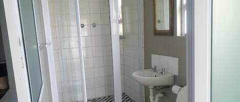 A bathroom with a glass-enclosed shower, a sink, and a toilet.