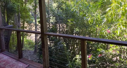 Beautiful old house by the river with balcony, massive yard, minutes to CBD