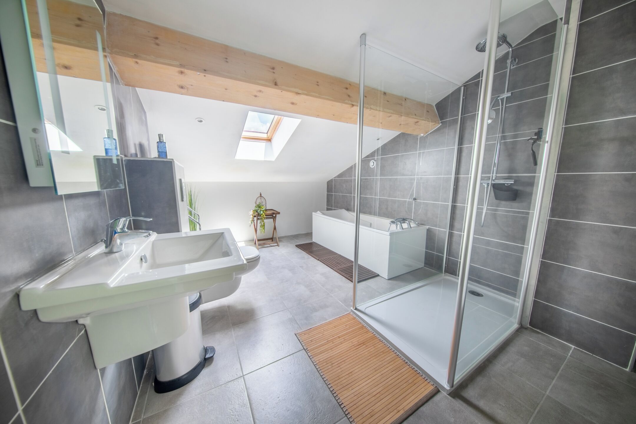 Dusche, Haartrockner, Seife, Toilettenpapier