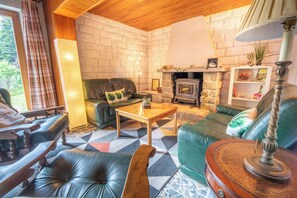 TV, fireplace, books, stereo