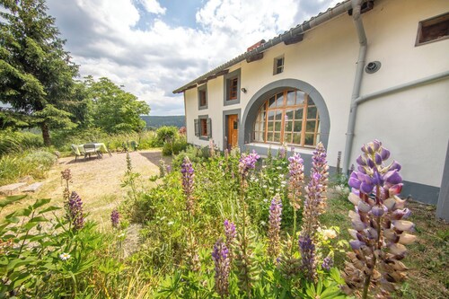 A charming old farmhouse, the Ferme du Grand-Père Prosper awaits you in LIEZEY
