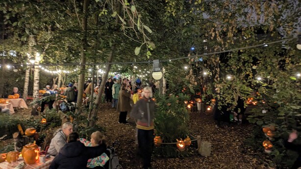 An outdoor gathering with tables and chairs, surrounded by trees and string lights. - Charming 1 bed flat with extra study and sofabed (London)