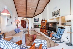 Smart TV, fireplace, books