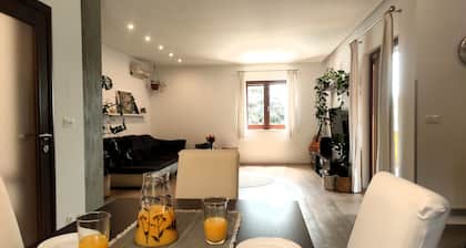 Relaxing Istrian Home with Pool, Garden, Barbecue – Family & Pet-Friendly