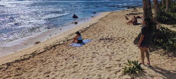 Ein Sandstrand mit einer Person, die auf einem Handtuch sitzt, einer stehenden Person und einem Hund in der Nähe.