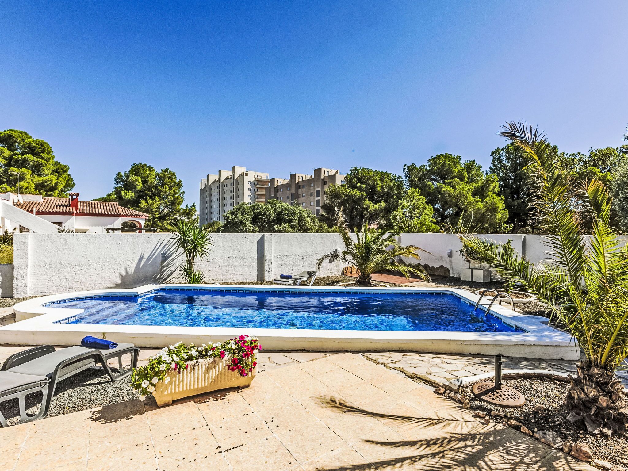 Ein Pool mit Liegestühlen und einem Blumenbeet, umgeben von einer niedrigen Mauer und Bäumen.