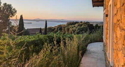Peaceful getaway in the Italian countryside, surrounded by vineyards