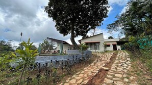 Une maison moderne avec un chemin de pierre menant à l’entrée, entourée d’une végétation luxuriante et d’un grand arbre.