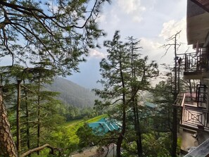 Deluxe Room, Valley View | Valley view - Pineview (Shimla)