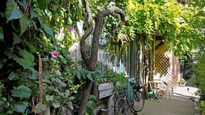 Un jardin avec un vélo, une table et des chaises.