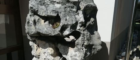 外部細節