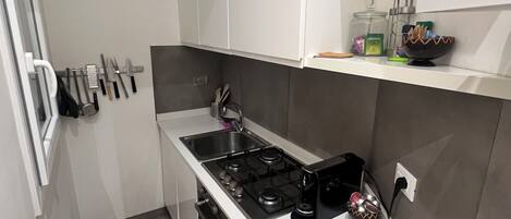 Fridge, oven, stovetop, dishwasher